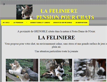 Tablet Screenshot of pensionchat-la-feliniere.com